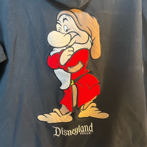 GRUMPY Disney Disneyland Hoodie Sweatshirt - Picture 7 of 7
